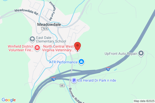 Pet Central Veterinary Clinic