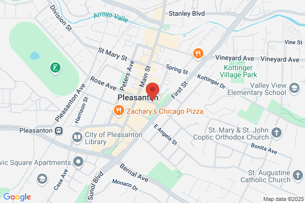 Pleasanton Ice