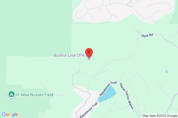 Buscham-Jamison Lisa CPA