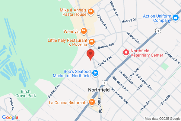 Atlantic Cape Orthopedics