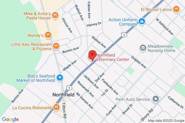 Atlantic Shore Orthopaedic Associates Llc