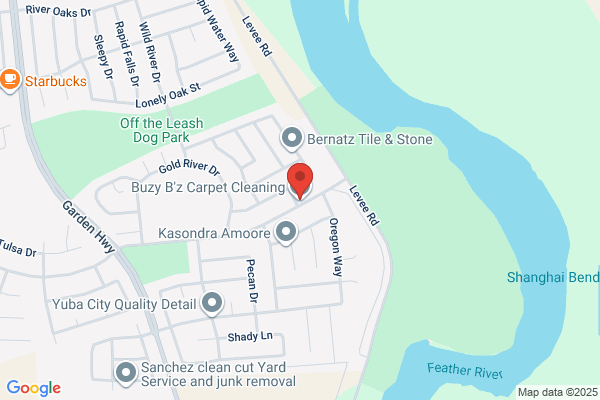 Buzy B'z Carpet Cleaning