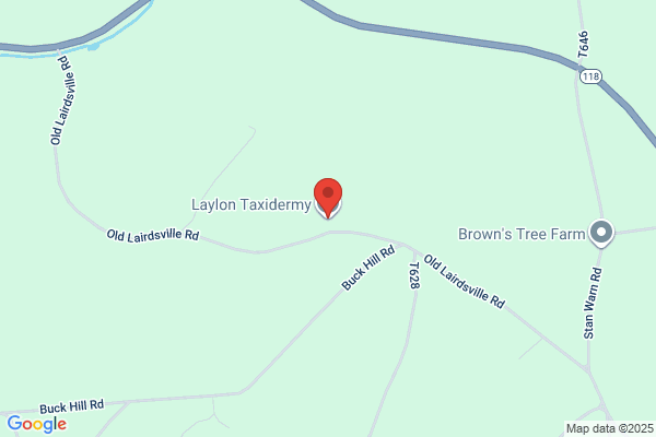 Long Taxidermy