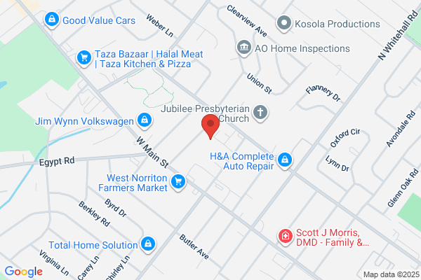 Professional Services