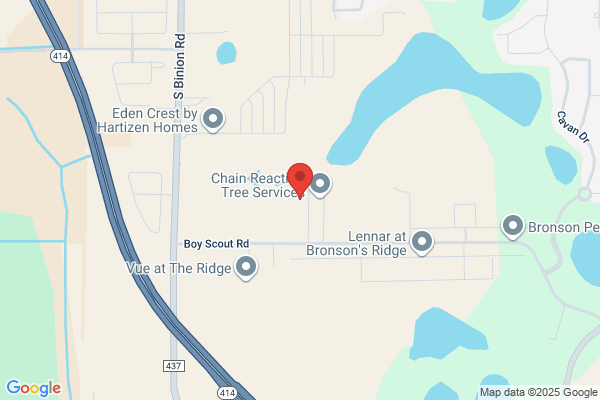 A&Z Outdoors Trees and More LLC