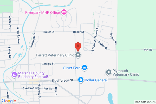 Carmien & Pedavoli Family Dentistry LLC