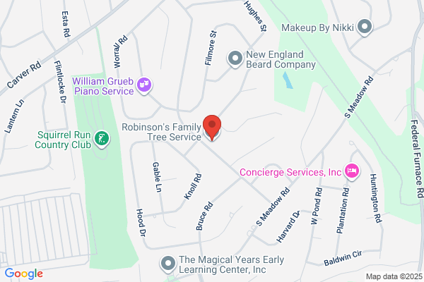 Family Tree Service and Landscape