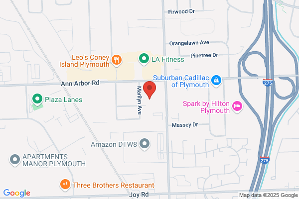 Michigan Oral Surgeons