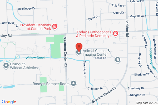 Dobbs Dental Ceramics
