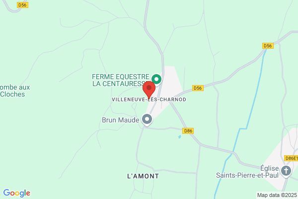 Villeneuve Frances Dcsw