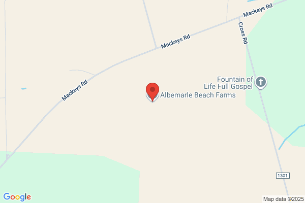 Albemarle Beach Farms
