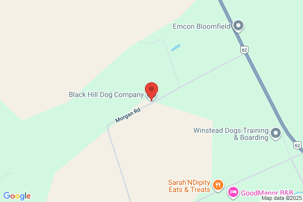 Ebony Boarding Kennel