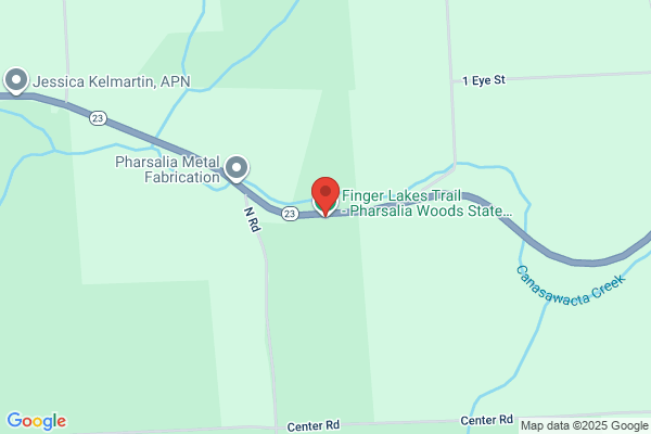 Pharsalia Forest