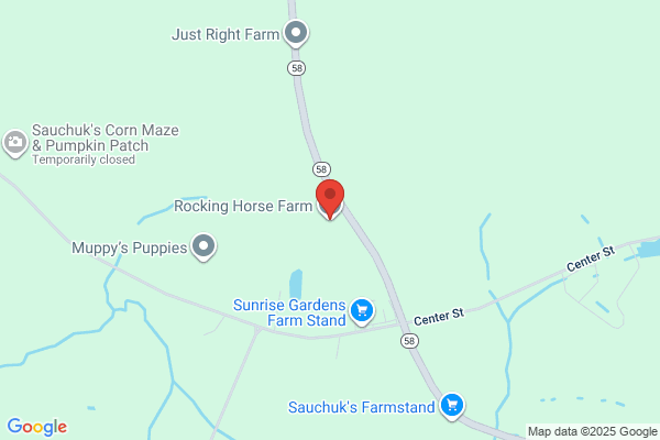 Rocking Horse Farm
