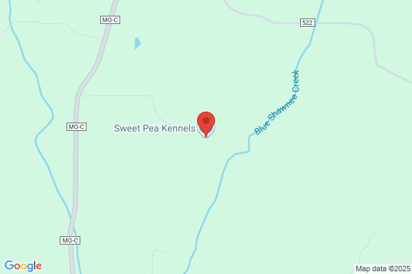 Sweet Pea Kennels