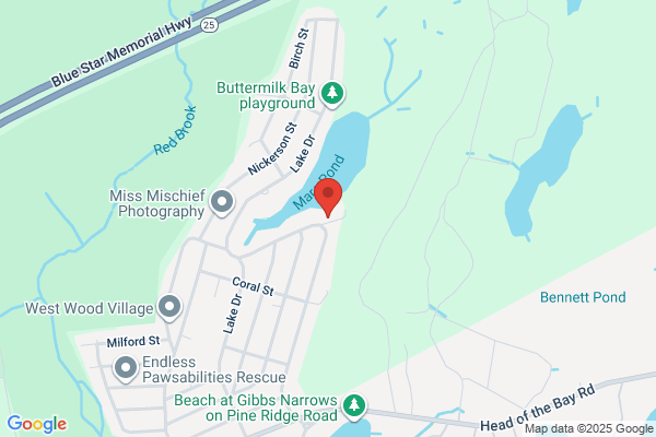 Cape Cod Swim Club the