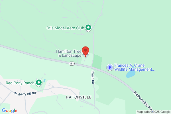 Hamilton Tree And Landscape Inc