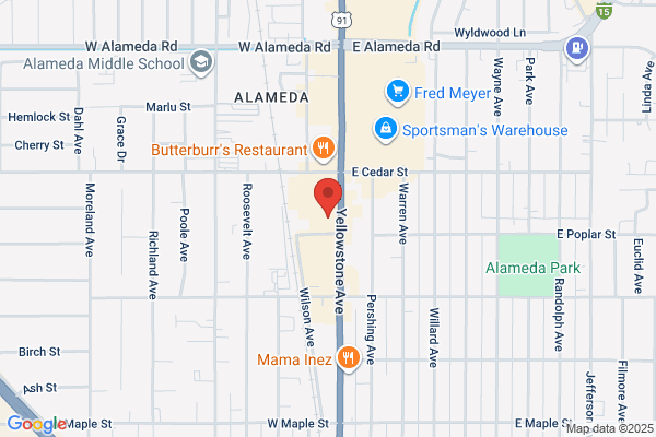 Advance Auto Parts
