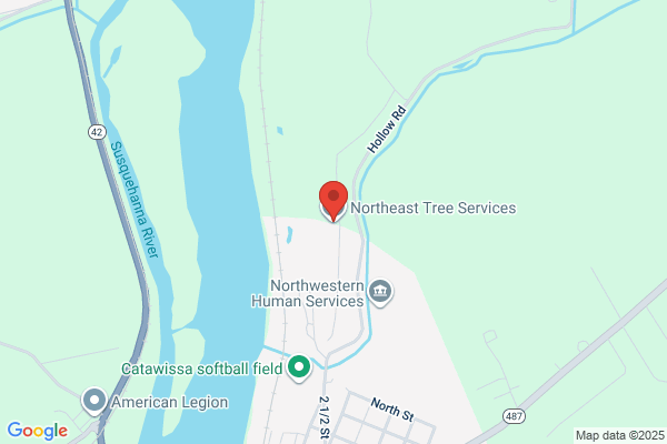 Northeast Tree Service