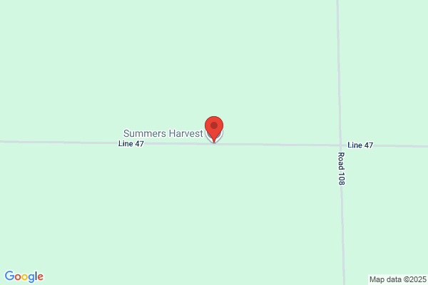 Summer's Harvest