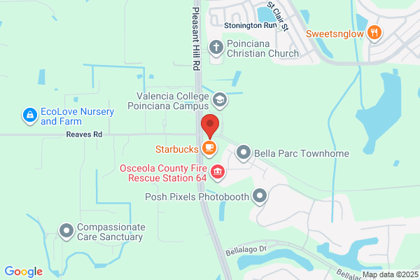 Poinciana Detail & Car Wash
