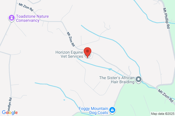 Horizon Equine Veterinary Services Llc