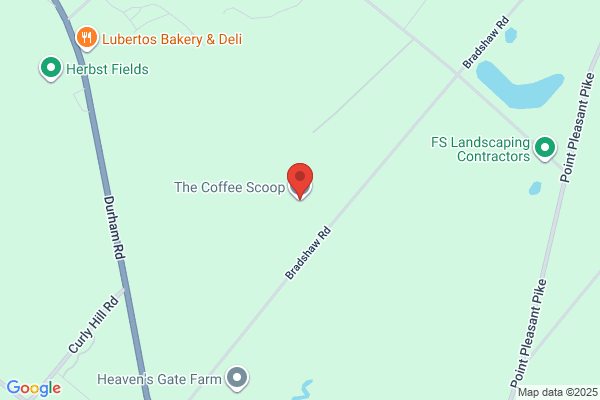 THE COFFEE SCOOP LLC