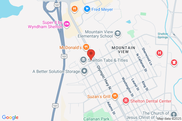 Mason County Mental Health Services