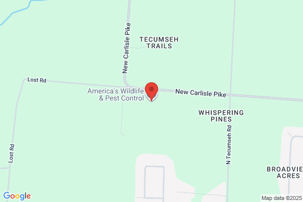 American Wildlife & Pest Control