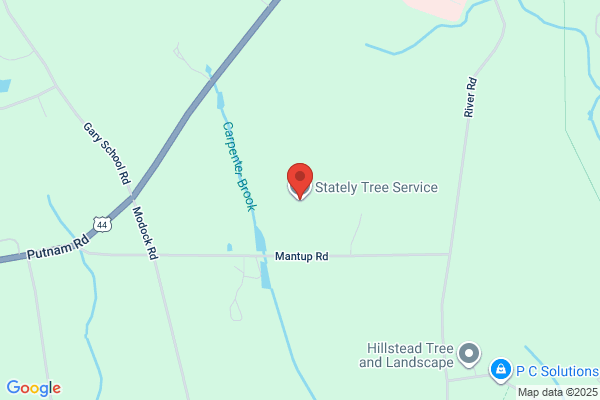 Stately Tree Service