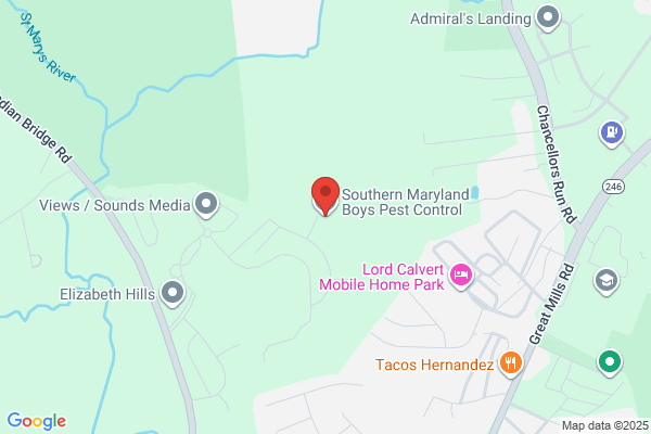 Southern Maryland Pest Control