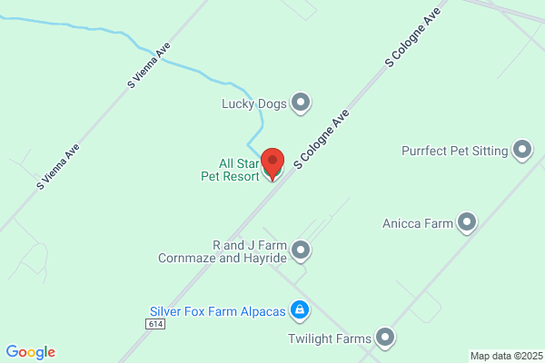 All Star Pet Resort