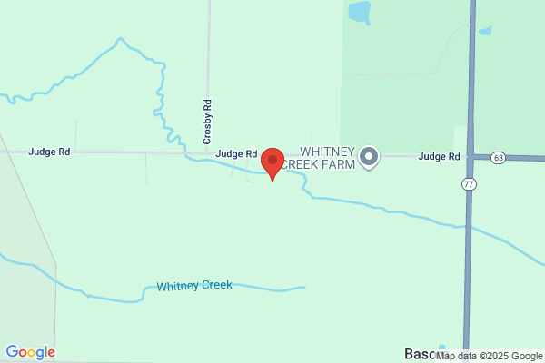Roesch Cornmaze Hayrides & Christmas Tree Farm