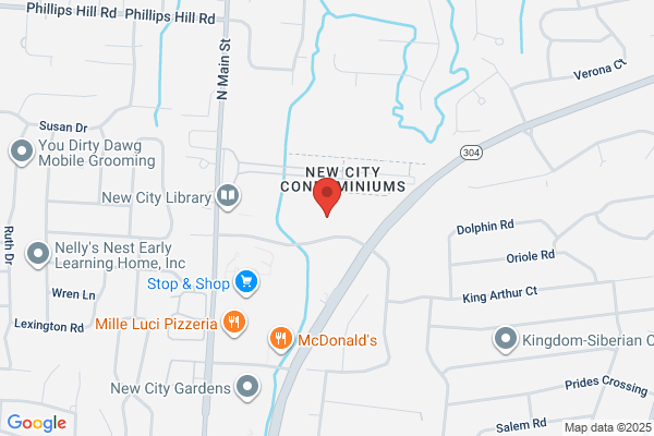 Ander Properties