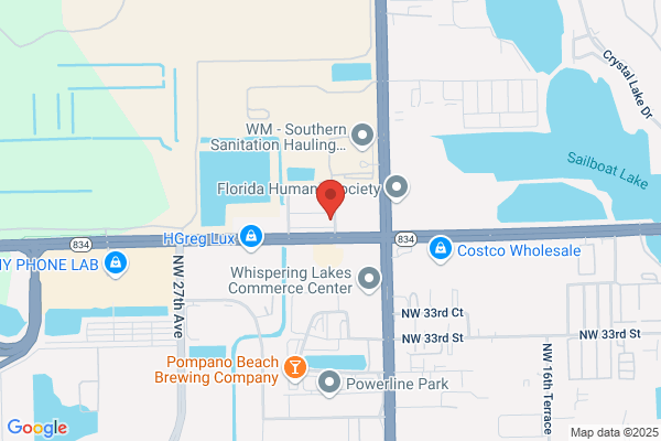 All Stars Sports Bar & Grill