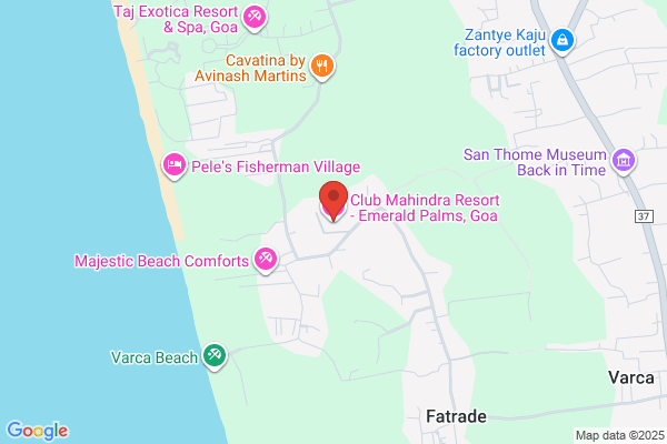 Green Pastures and Emerald Palms Inc