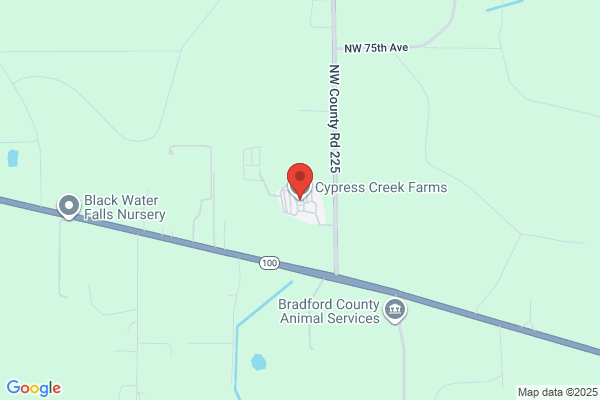 Cypress Creek Florida Llc