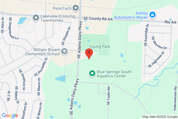 Blue Springs South Inc