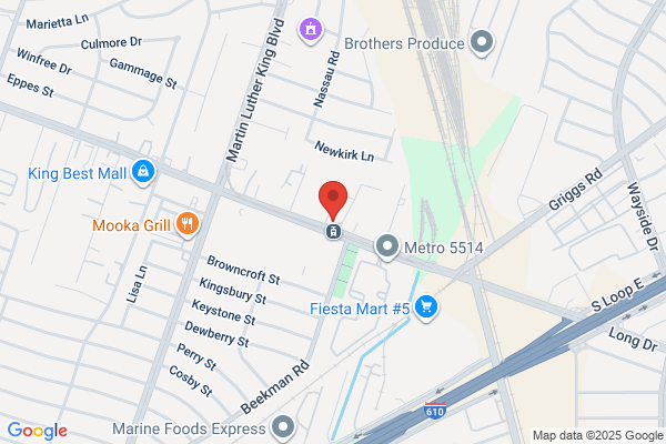Royal Palm Motors