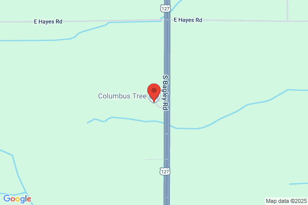 Columbus Tree