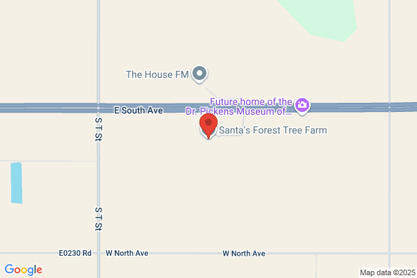Santa's Forest Tree Farm