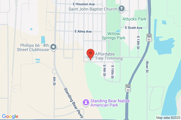 Affordable Tree Trimming