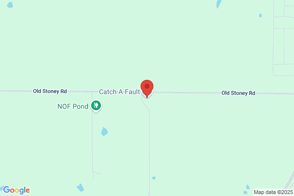 Catch-A-Fault