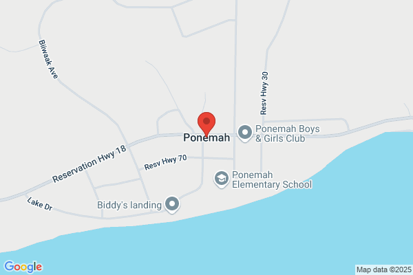 Ambulance, Ponemah Ambulance Service