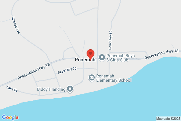 Ponemah Fire Department