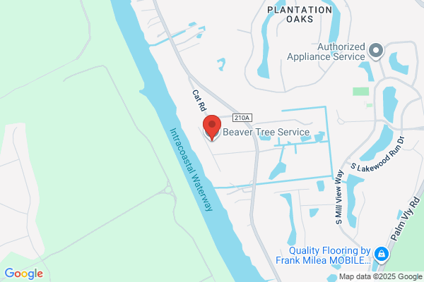 Beaver Stump Grinding And Tree Service