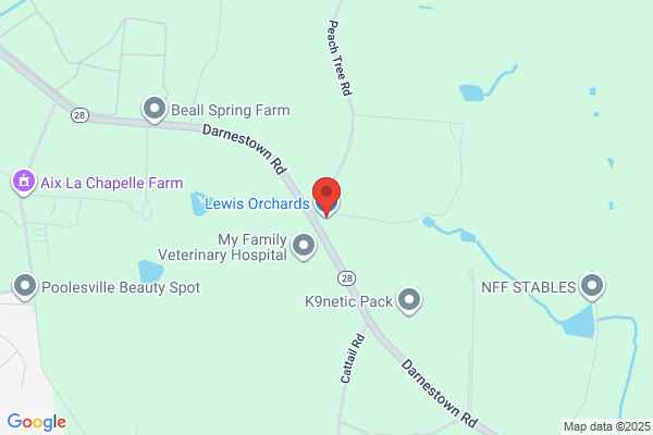 Lewis Orchards