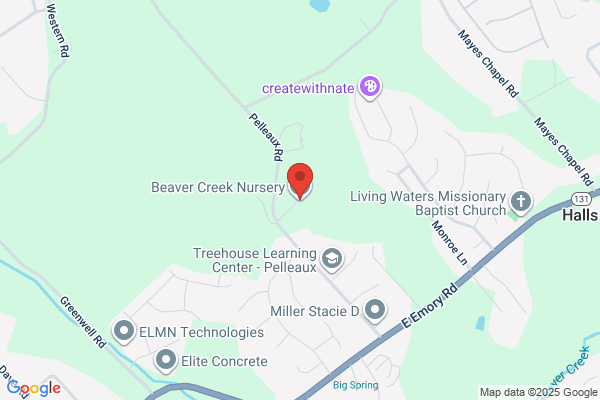Beaver Creek Nursery, Shop
