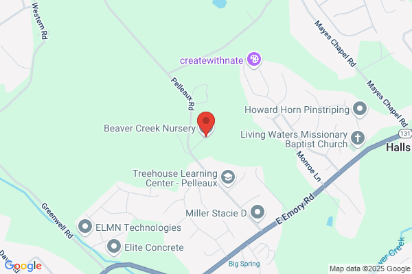 Beaver Creek Nursery, Wholesale