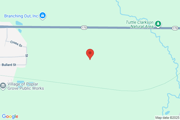 Village Poplar Grove of